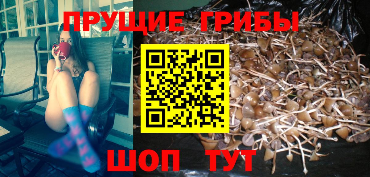 Галлюциногенные грибы ЛСД Усть-Джегута